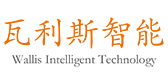 Shandong Wallis Intelligent Technology Co., Ltd