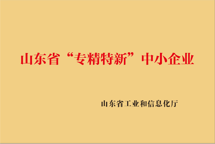 2024 Shandong Province's 
