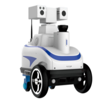 Ground two wheel drive inspection robot system